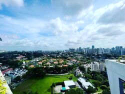 The Crest (D3), Condominium #553476421